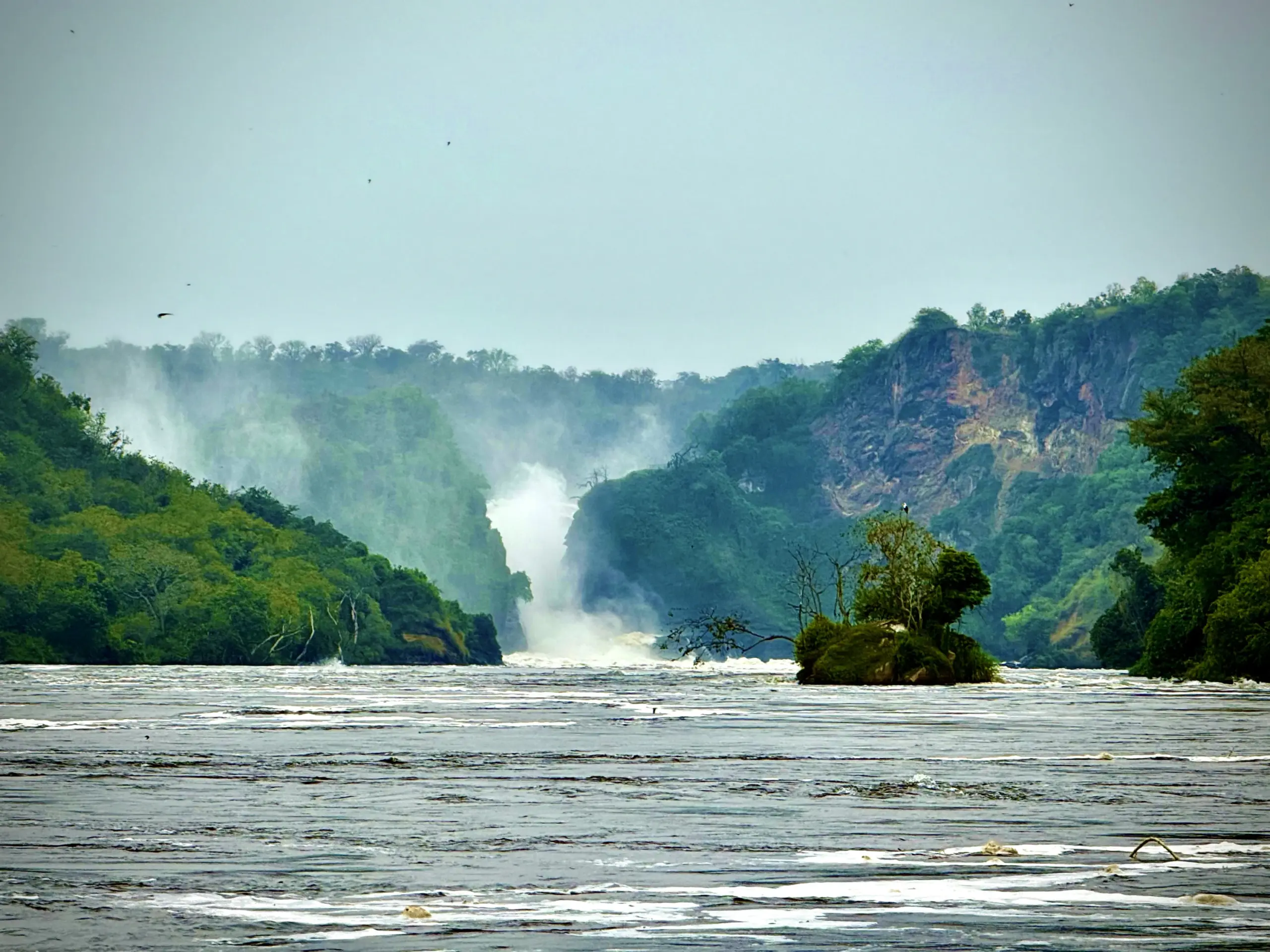 Murchison Falls & Nile Cruise