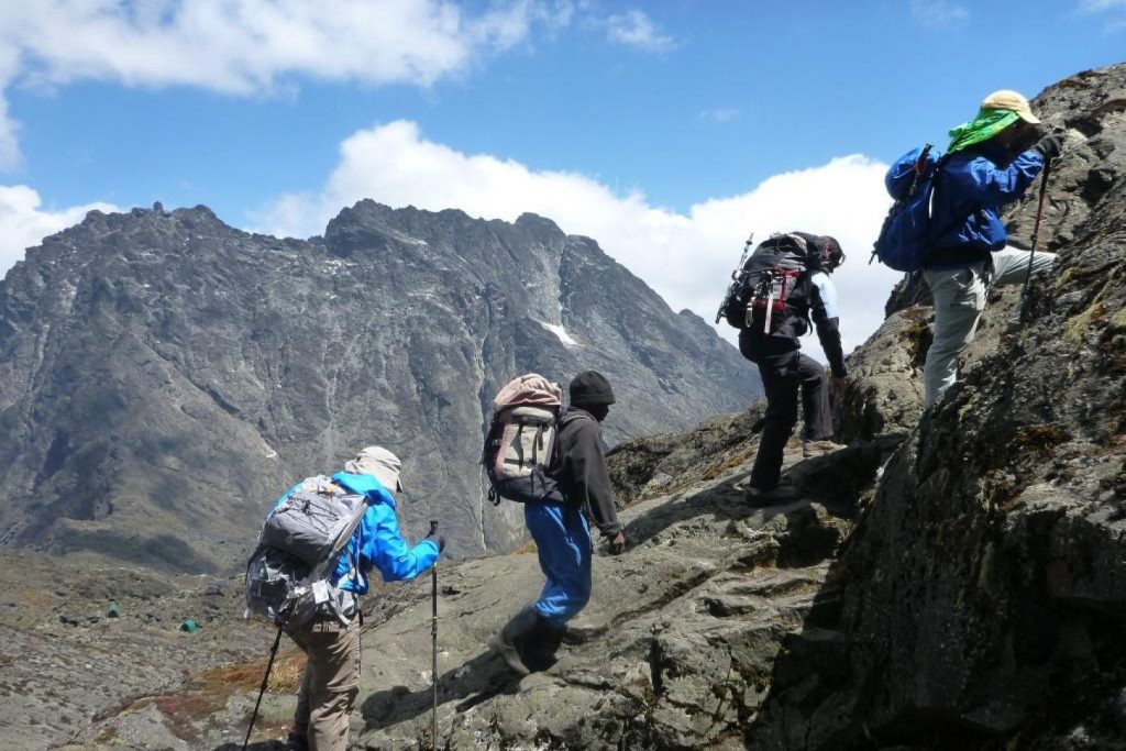 Rwenzori Mountains Trek